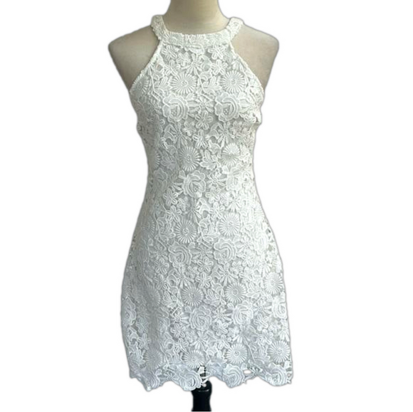 Lulus Dresses & Skirts - Lulus: Love Poem Lace Mini Dress: Size M